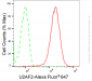 KD-Validated Anti-U2AF2 Rabbit Monoclonal Antibody