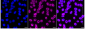KD-Validated Anti-TFAP2A Rabbit Monoclonal Antibody