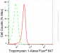 KD-Validated Anti-Tropomyosin 1 Rabbit Monoclonal Antibody