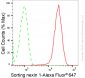 KD-Validated Anti-Sorting Nexin 1 Rabbit Monoclonal Antibody