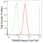 KD-Validated Anti-TIMM50 Rabbit Monoclonal Antibody