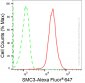 KD-Validated Anti-SMC3 Rabbit Monoclonal Antibody