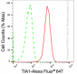 KD-Validated Anti-TIA1 Rabbit Monoclonal Antibody