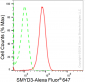 KD-Validated Anti-SMYD3 Rabbit Monoclonal Antibody