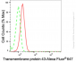 KD-Validated Anti-Transmembrane Protein 43 Rabbit Monoclonal Antibody