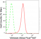 KD-Validated Anti-Versican Rabbit Monoclonal Antibody