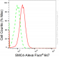 KD-Validated Anti-SMC4 Rabbit Monoclonal Antibody