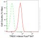 KD-Validated Anti-Three Prime Repair Exonuclease 1 Rabbit Monoclonal Antibody