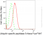 KD-Validated Anti-Ubiquitin Specific Peptidase 5 Rabbit Monoclonal Antibody