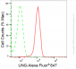 KD-Validated Anti-Uracil DNA Glycosylase Rabbit Monoclonal Antibody