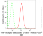 KD-Validated Anti-TNF Receptor Associated Protein 1 Rabbit Monoclonal Antibody