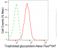 KD-Validated Anti-Trophoblast Glycoprotein Rabbit Monoclonal Antibody