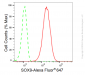 KD-Validated Anti-SRY-Box Transcription Factor 9 Rabbit Monoclonal Antibody