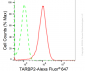 KD-Validated Anti-TARBP2 Rabbit Monoclonal Antibody