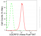 KD-Validated Anti-UQCRFS1 Rabbit Monoclonal Antibody
