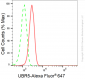 KD-Validated Anti-UBR5 Rabbit Monoclonal Antibody