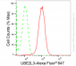 KD-Validated Anti-UBE2L3 Rabbit Monoclonal Antibody