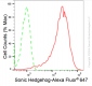 KD-Validated Anti-Sonic Hedgehog Signaling Molecule Rabbit Monoclonal Antibody