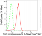 KD-Validated Anti-THO Complex Subunit 1 Rabbit Monoclonal Antibody