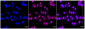 KD-Validated Anti-THO Complex Subunit 1 Rabbit Monoclonal Antibody