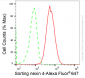 KD-Validated Anti-Sorting Nexin 4 Rabbit Monoclonal Antibody