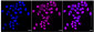 KD-Validated Anti-Timeless Circadian Regulator Rabbit Monoclonal Antibody