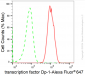 KD-Validated Anti-Transcription Factor Dp-1 Rabbit Monoclonal Antibody