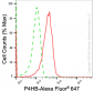 KD-Validated Anti-Prolyl 4-Hydroxylase Subunit Beta Mouse Monoclonal Antibody