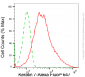 KD-Validated Anti-Keratin 7 Rabbit Monoclonal Antibody