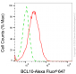 KD-Validated Anti-BCL10 Mouse Monoclonal Antibody