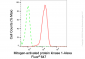 KD-Validated Anti-Mitogen-Activated Protein Kinase 1 Rabbit Monoclonal Antibody