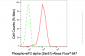 KD-Validated Anti-Phospho-eIF2 alpha (Ser51) Rabbit Monoclonal Antibody