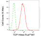 KD-Validated Anti-T-Complex 1 Rabbit Monoclonal Antibody