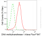 KD-Validated Anti-DNA Methyltransferase 1 Rabbit Monoclonal Antibody