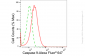 KD-Validated Anti-Caspase 9 Rabbit Monoclonal Antibody