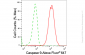 KD-Validated Anti-Caspase 9 Rabbit Monoclonal Antibody