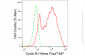 KD-Validated Anti-Cyclin B1 Rabbit Monoclonal Antibody