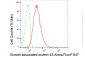 KD-Validated Anti-Growth associated protein 43 Rabbit Monoclonal Antibody