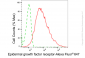 KD-Validated Anti-Epidermal Growth Factor Receptor Rabbit Monoclonal Antibody