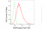 KD-Validated Anti-Epidermal Growth Factor Receptor Rabbit Monoclonal Antibody