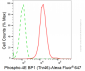 KD-Validated Anti-Phospho-4E BP1 (Thr46) Rabbit Monoclonal Antibody