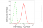 KD-Validated Anti-Fibroblast Growth Factor 2 Rabbit Monoclonal Antibody