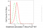KD-Validated Anti-Glutathione Peroxidase 1 Rabbit Monoclonal Antibody