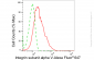KD-Validated Anti-Integrin alpha V Rabbit Monoclonal Antibody