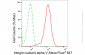 KD-Validated Anti-Integrin alpha V Rabbit Monoclonal Antibody