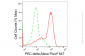 KD-Validated Anti-Protein Kinase C Delta Rabbit Monoclonal Antibody