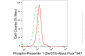 KD-Validated Anti-Phospho-Presenilin 1 (Ser310) Rabbit Monoclonal Antibody
