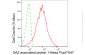 KD-Validated Anti-DAZ Associated Protein 1 Rabbit Monoclonal Antibody