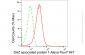 KD-Validated Anti-DAZ Associated Protein 1 Rabbit Monoclonal Antibody
