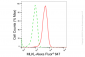 KD-Validated Anti-MLKL Rabbit Monoclonal Antibody
